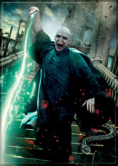 Harry Potter Deathly Hallows Voldemort with Wand Art Image Refrigerator Magnet - $3.99
