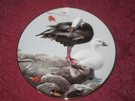 SNOW GEESE collector plate Rod Lawrence  Hamilton Colln WILDLIFE GOOSE Bird - $24.99