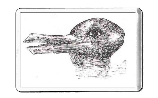 illusion duck? rabbit? fridge magnet handmade in uk