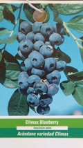 Climax Blueberry 5 Gal Bush Plant Fruit Bearing Blueberries Healthy Roots Plants - $96.95