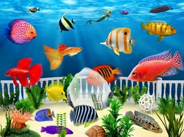 Fish sea marine animals aquarium Self Adhesive Wall Decal children&#39;s room - $46.00+