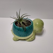 Sea Turtle Planter with Air Plant, 5" Blue Green Ceramic Tortoise Pot, Airplant image 3