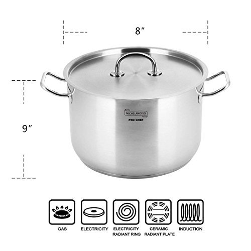 MICHELANGELO Stainless Steel Induction Pot 8 Quart, Large Cooking Pots