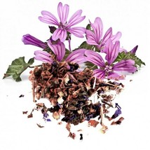 Blue Malva Sylvestris Mallow Flower Tea Loose Leaf Herbal Spices of the World - $10.99