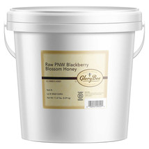 Raw Blackberry Honey, 11.67 lb. Bucket - $256.41