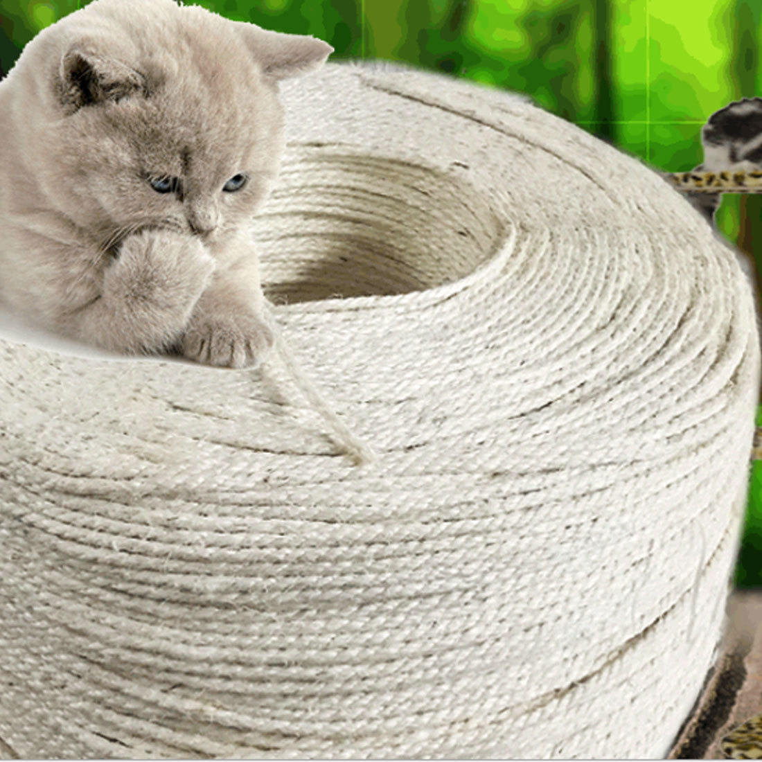 sisal rope for cats