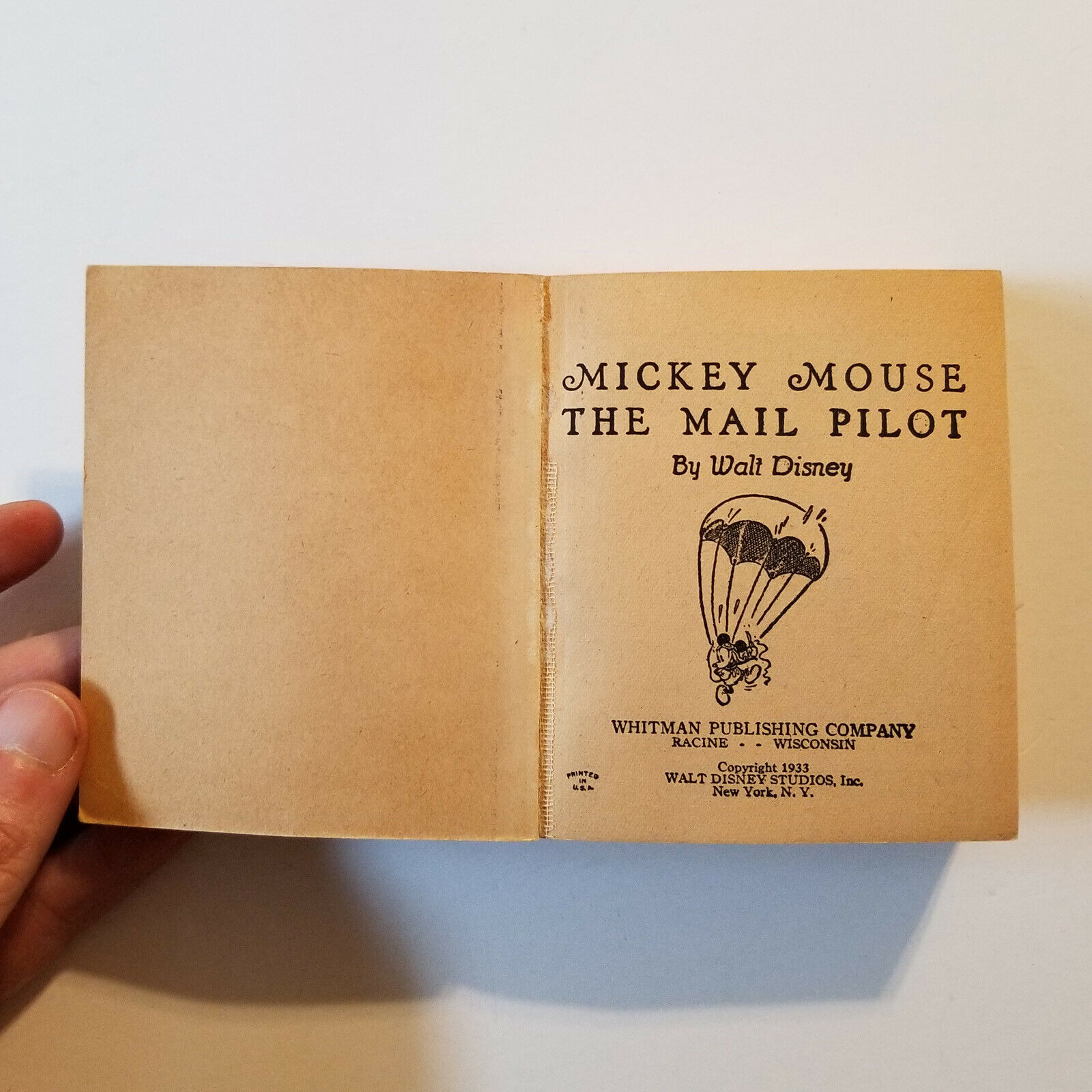 mickey the mail pilot