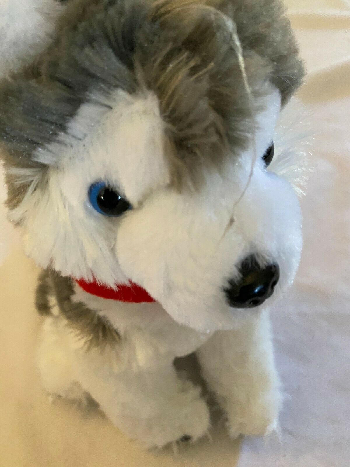 calplush husky