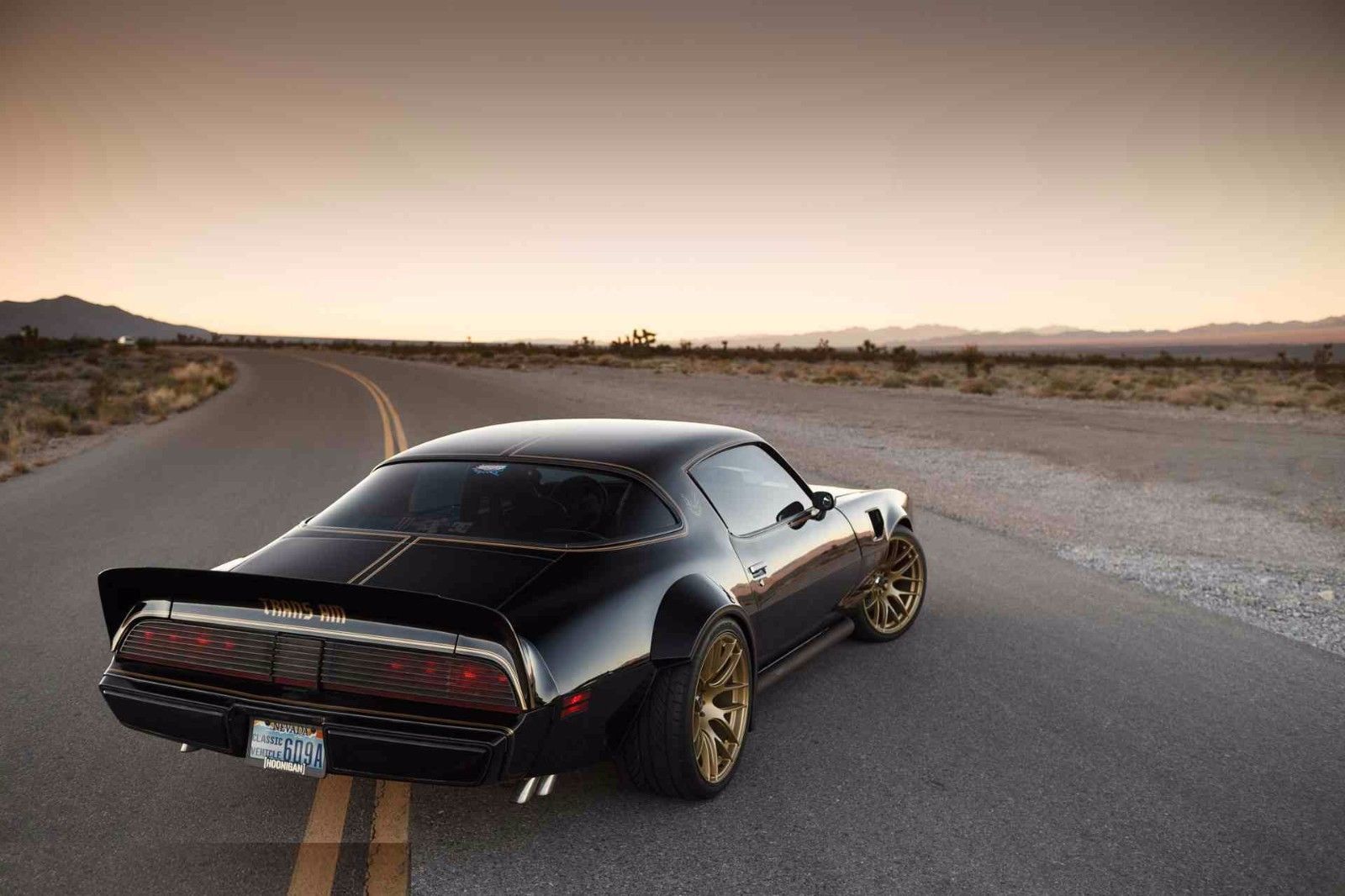 1982 PONTIAC FIREBIRD TRANS AM  Poster 24x36 inchwall decor 