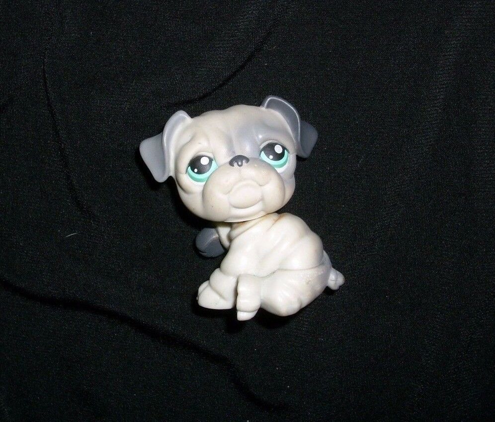 Details about   Littlest Pet Shop~#668~English Bulldog~Puppy Dog~Blue Gray~Brown Clover Eyes 