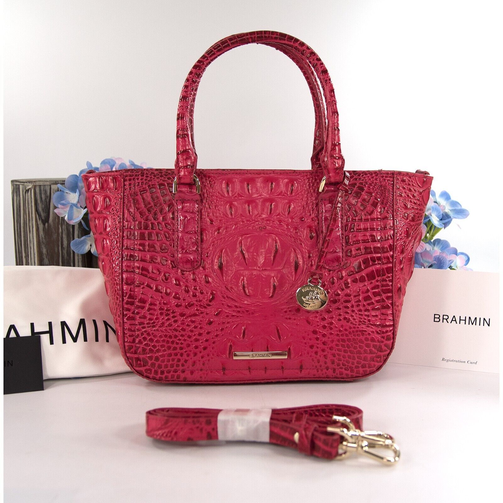 Brahmin Sweetheart Ombre Melbourne Leather Small Ashlee Satchel Bag NWT