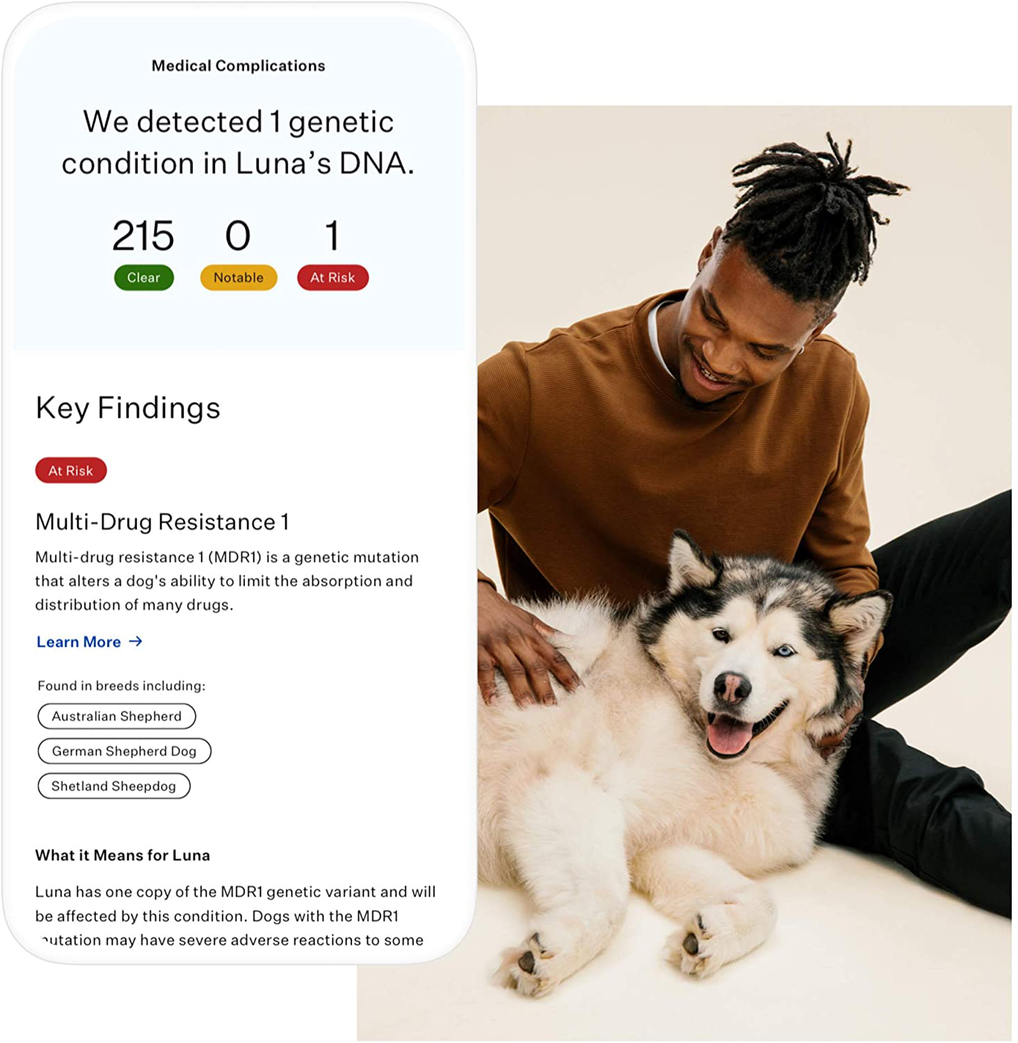 Wisdom Panel Premium Dog DNA Test for Comprehensive Health, Traits