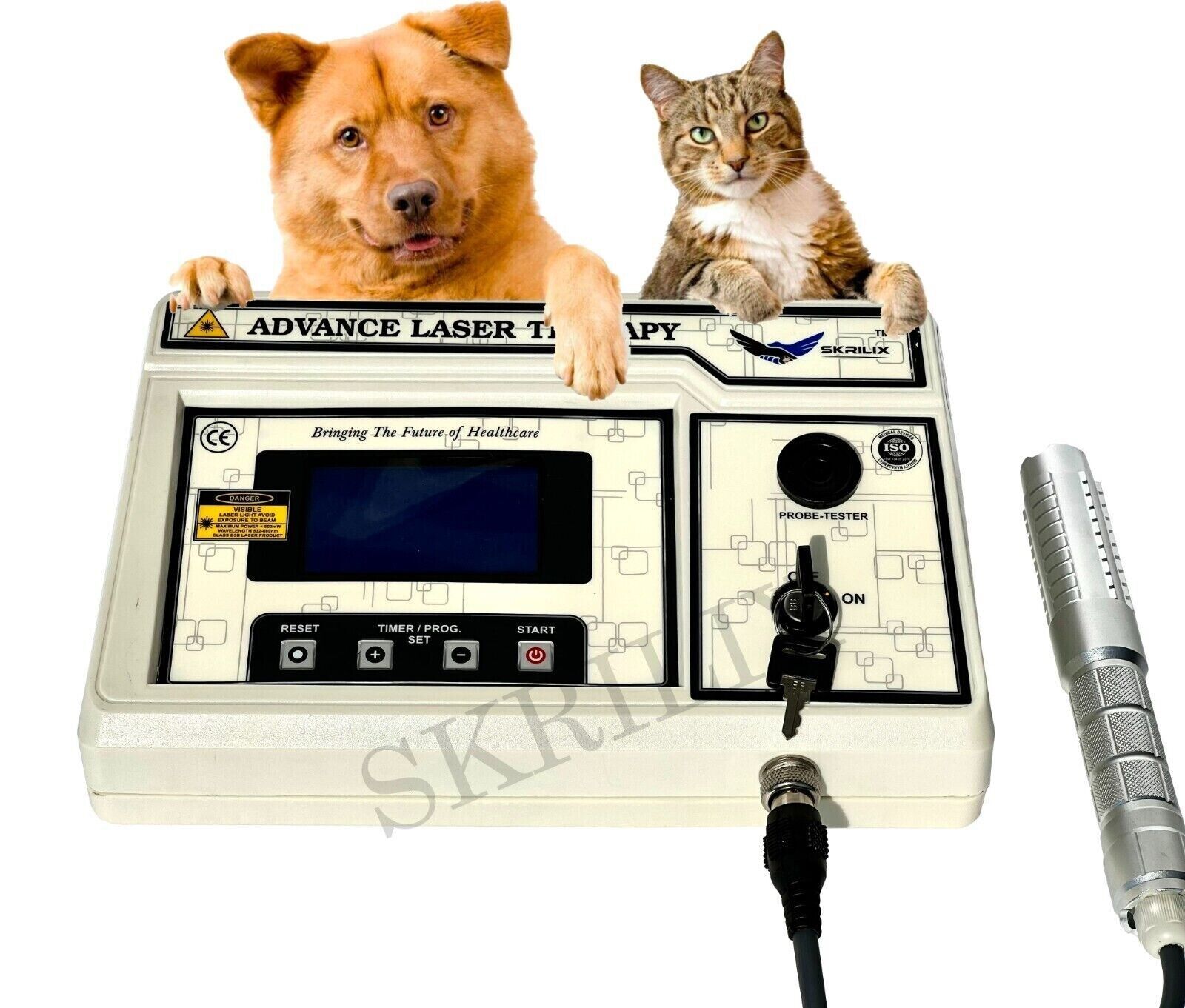 Advance Laser Therapy Low Level Laser Therapy Device For IVDD Treatment