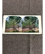 Early 1900s Stereo View Photo Card The Mammoth Bird Cage - $9.85