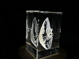 Liver Art  | 3D Engraved Crystal Keepsake | Gift/Decor | Collectible | S... - $49.99+