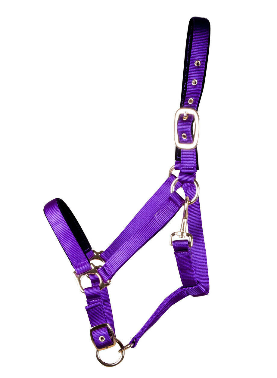 Lined Adjustable Nylon Halter For Medium Horse (600-900 lb) Purple ...