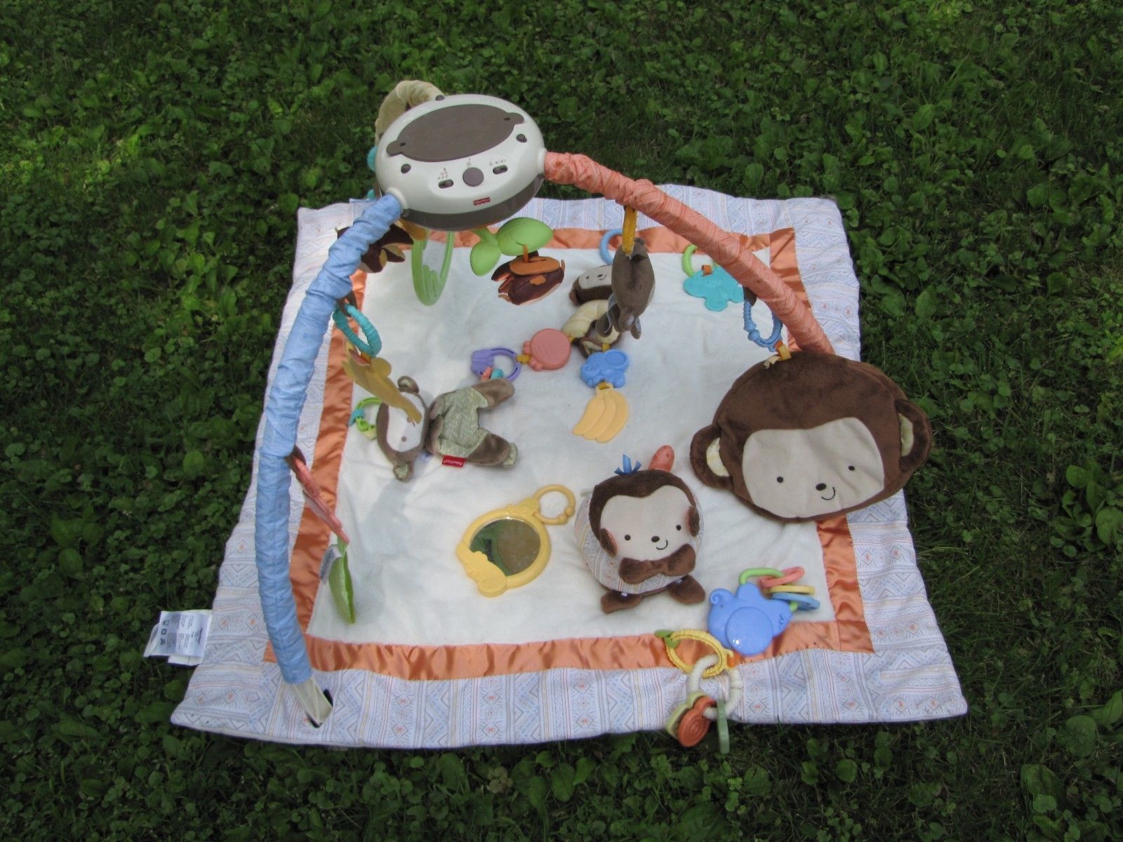 fisher price monkey play mat