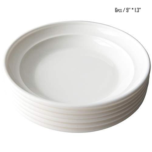 6pcs/9'' Dishwasher & Microwave Safe PP Plates - Lightweight