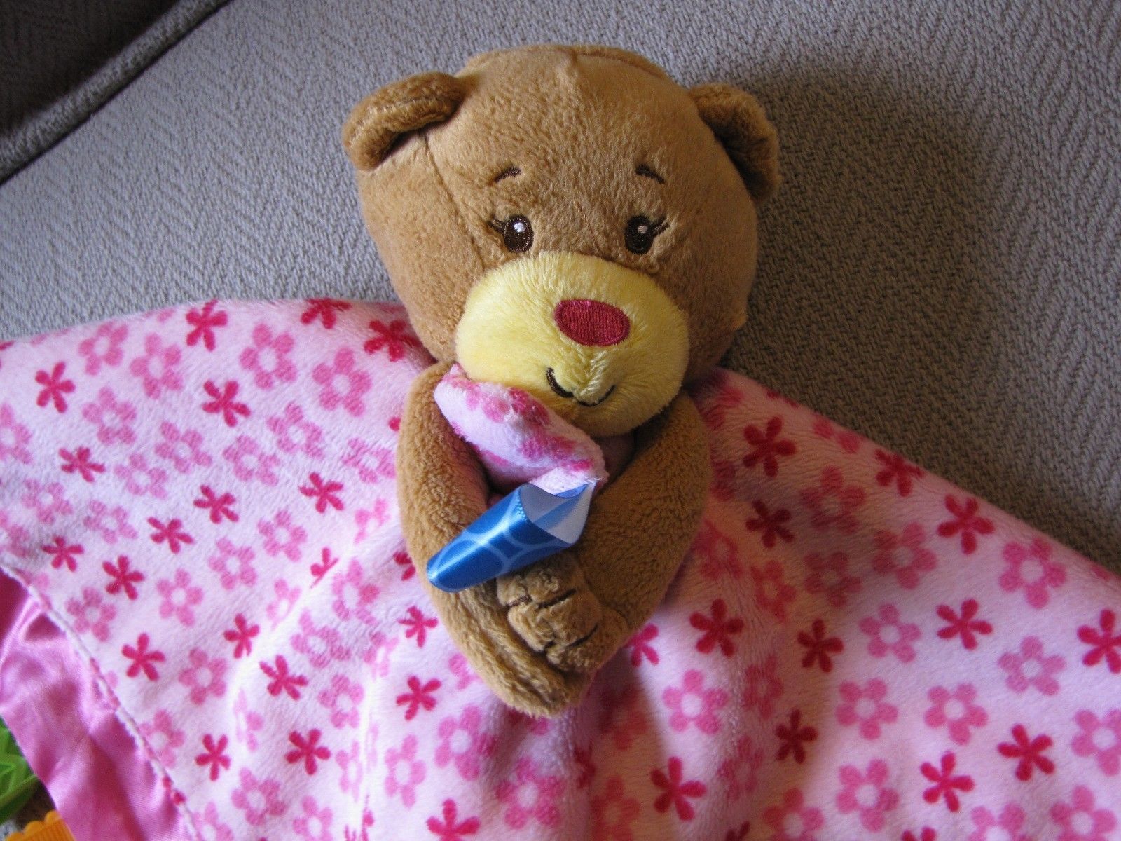 taggie teddy