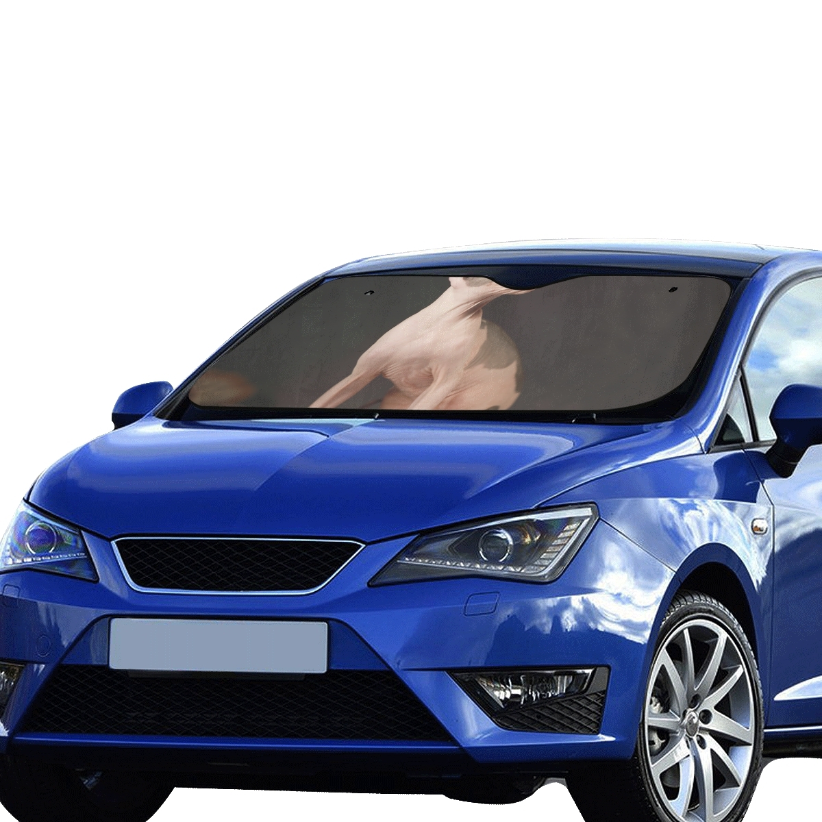 Cars Sunshade For Car Windshield Cat Canadian Sphynx Pattern Car Window