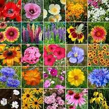 Non GMO Bulk Midwest Wildflower Seed Mix 25 Species of Wildflower Seeds (5 Lbs) - $222.75
