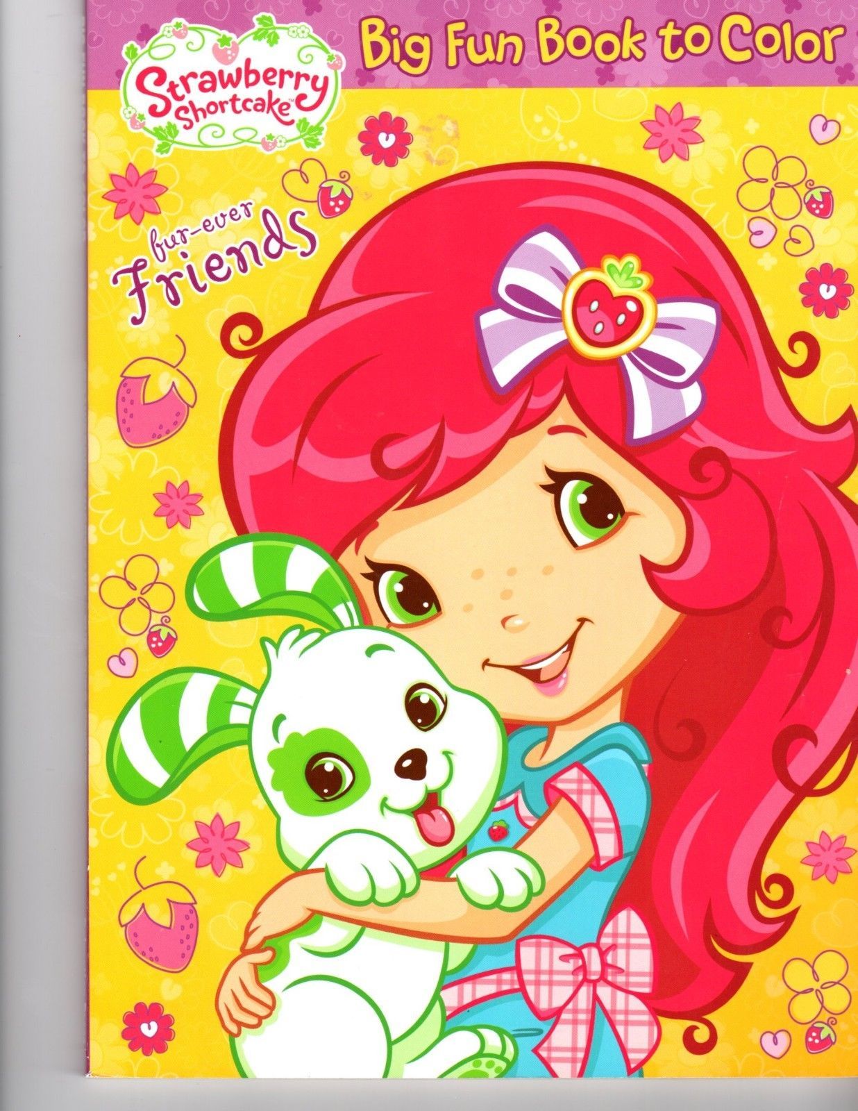 Strawberry Shortcake Big Fun Books to Color (2009 & 2012) 2Pack BRAND