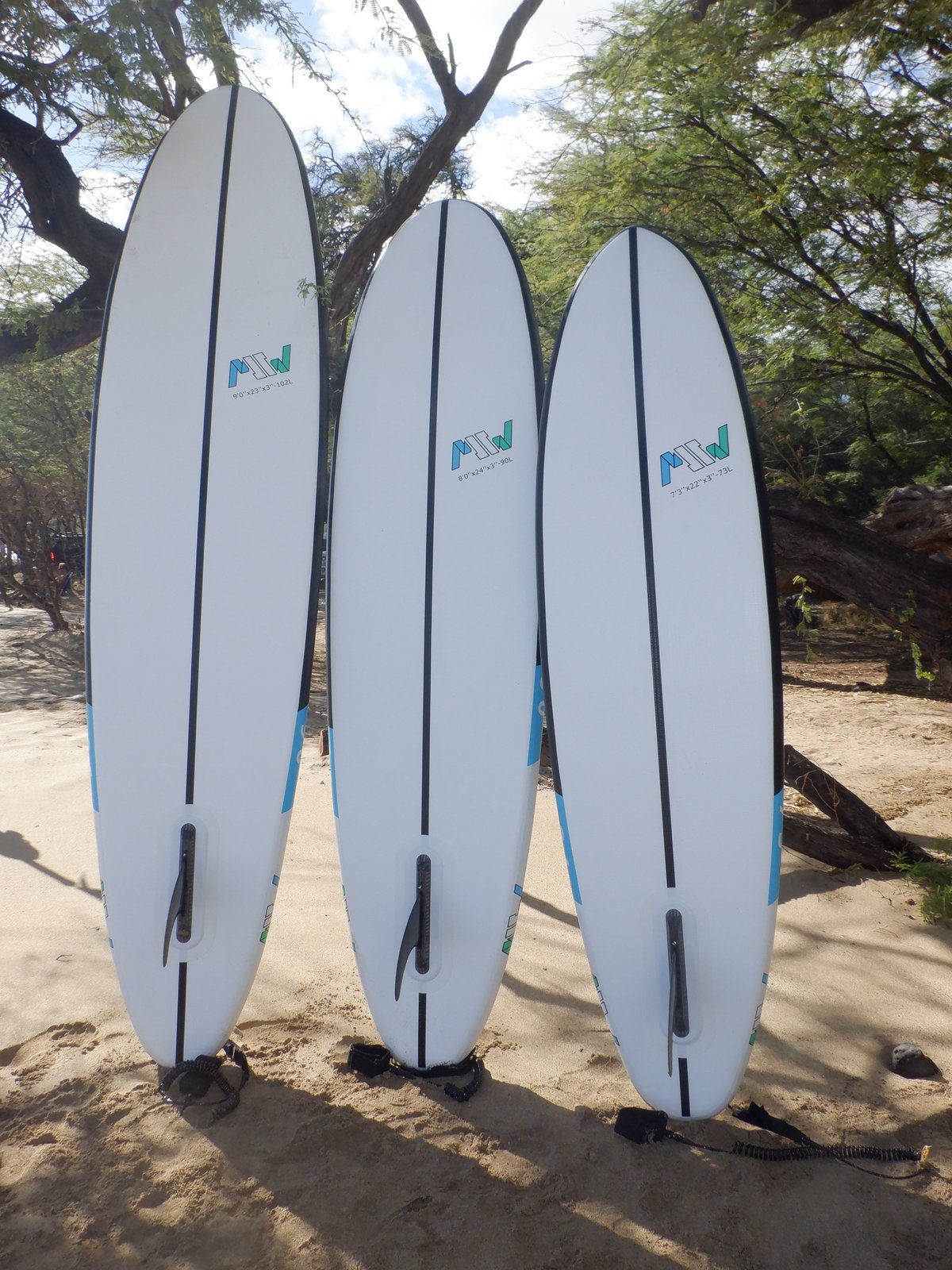 inflatable surfboard toy