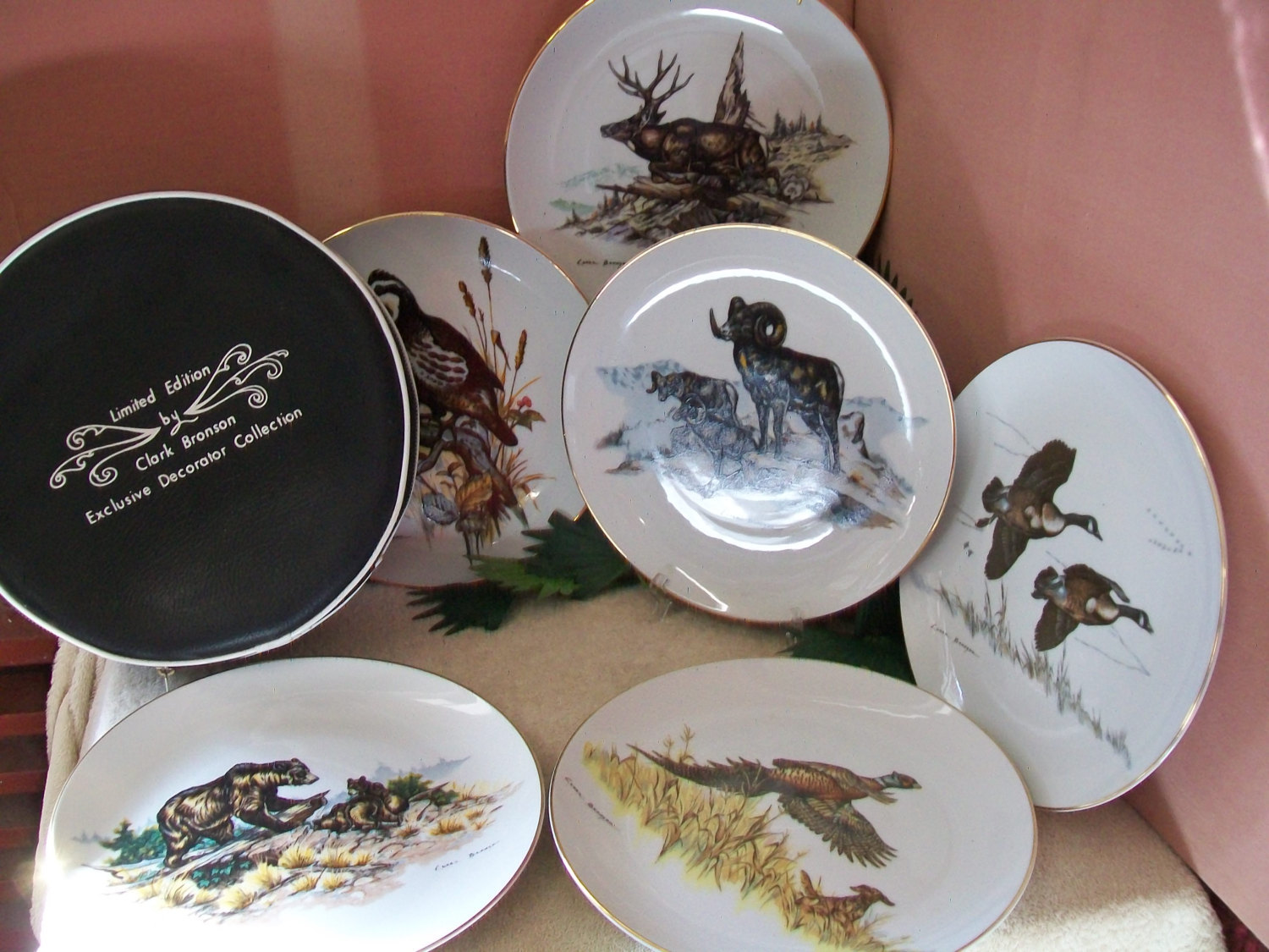 Wildlife Decorator Plates Limited Edition by Clark Bronson with storage