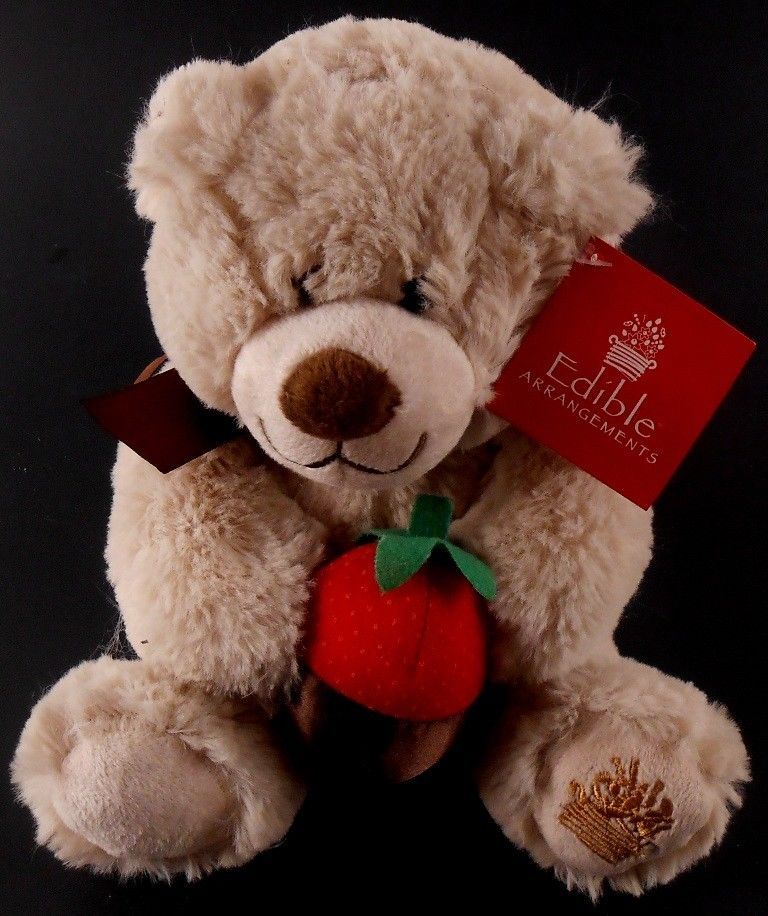 teddy bear chocolate day