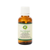R V Essential Pure Malkangani Oil Celastrus Paniculatus Natural Cold Pre... - $6.47+