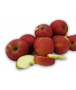 Kauffman Orchards Fresh-Picked Pink Lady Apples - $30.00 - $99.00