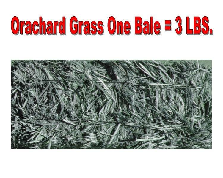 Orchard grass Hay 1 Bale green, clean, fresh and good for all small