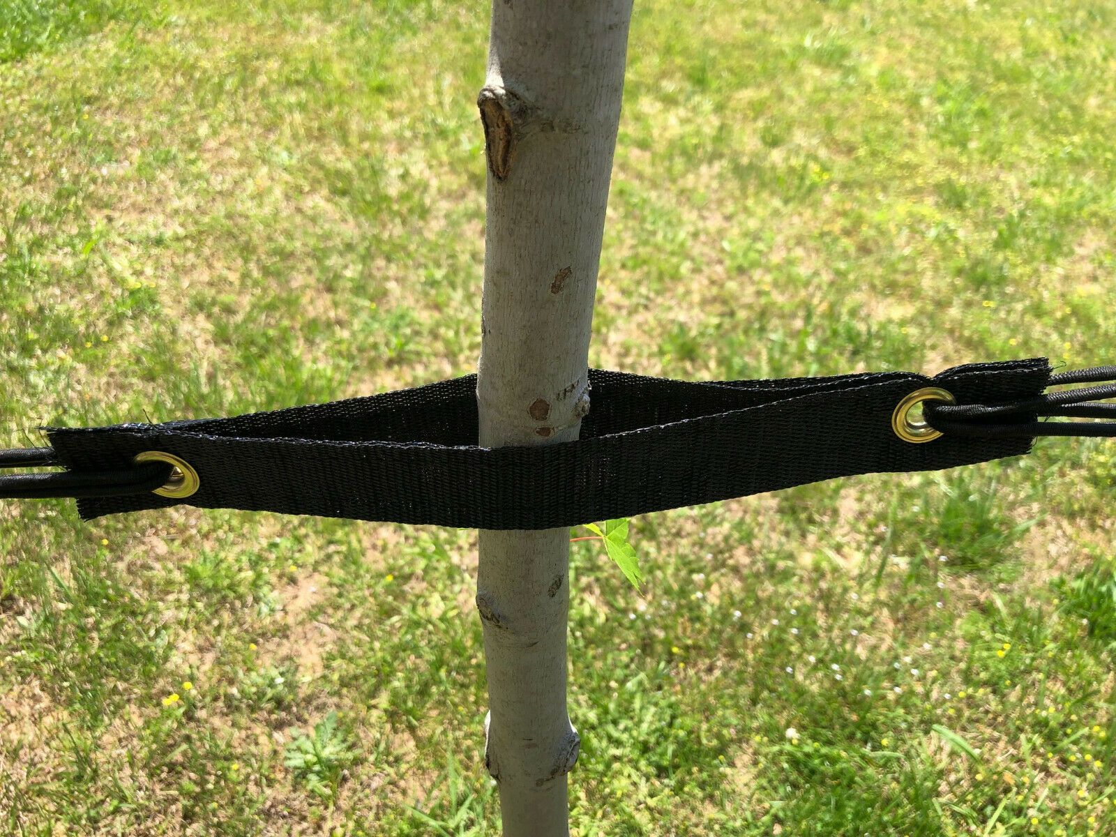 Tree Straps - Pack of 6 or 50 1”3/8 by 9” for securing trees (Free