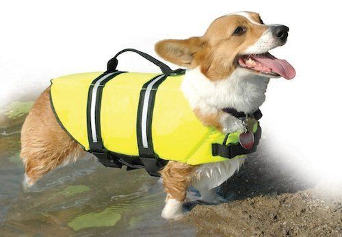 SMALL DOG LIFE PRESERVER dachshund westie boston terrier DOG LIFE VEST