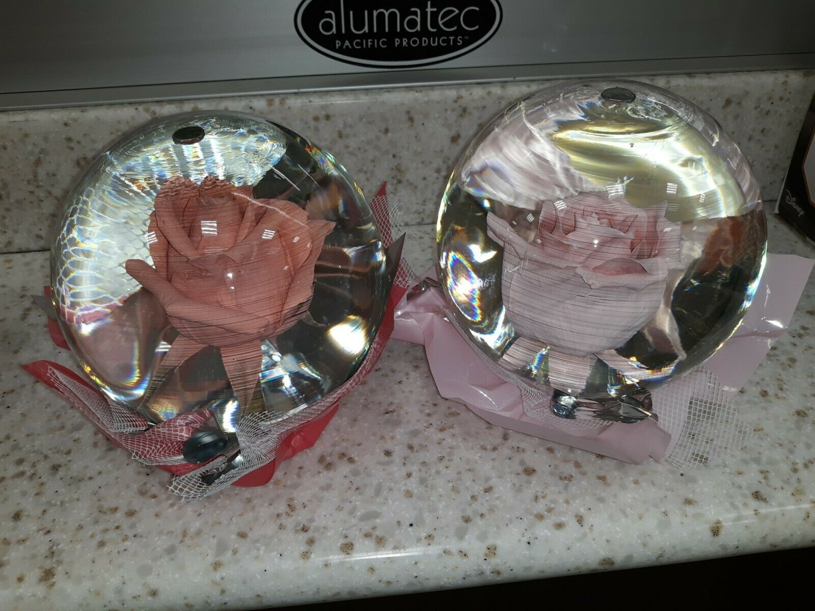 Real Authentic Rose in Water Globe Real Rose FREE EXPEDITED SHIPPING