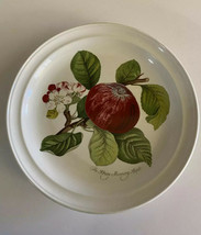 Portmeirion England Pomona Grimwoods ~Hoary Morning Apple~ Dinner Plate ... - $22.99