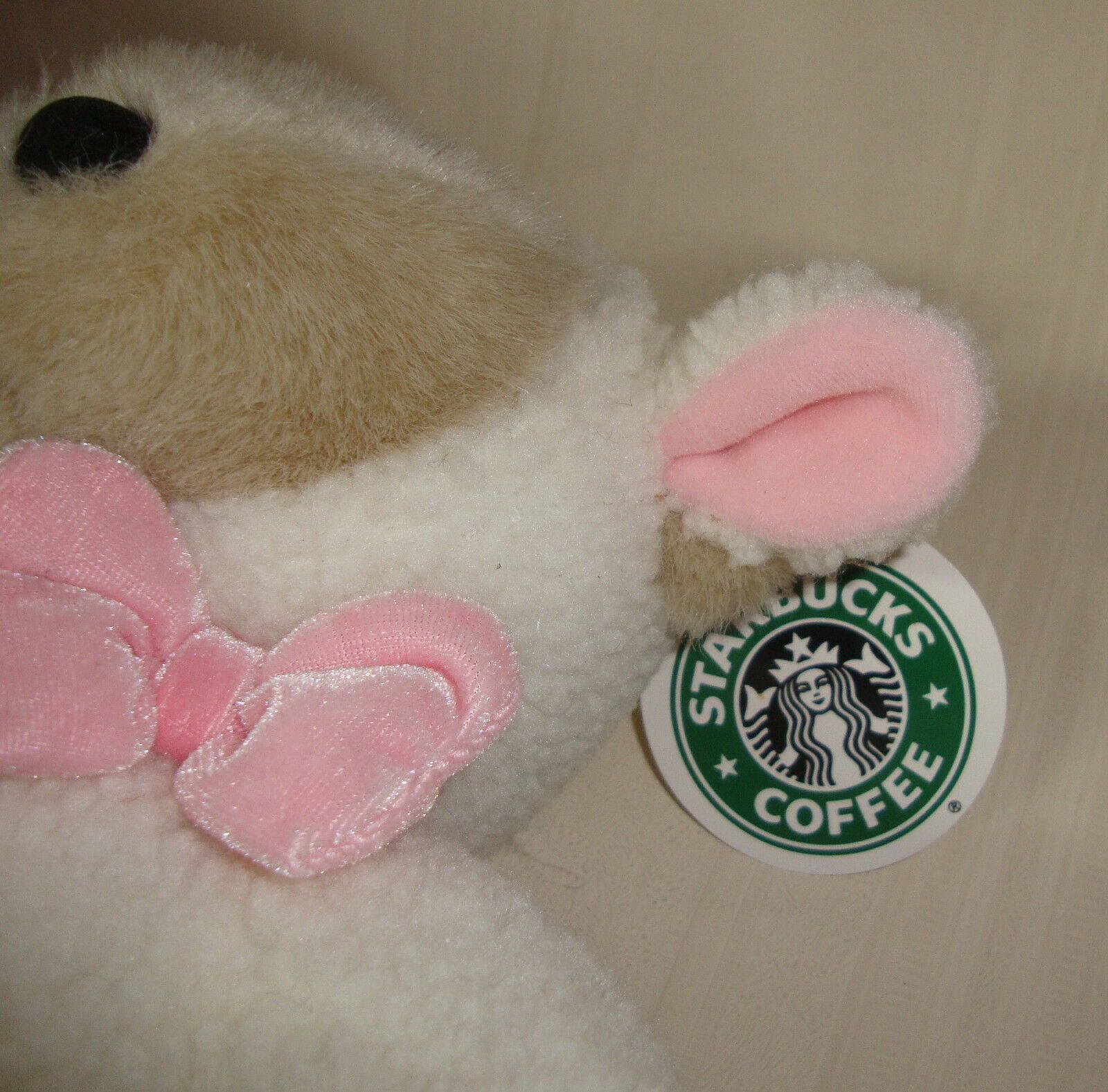 starbucks teddy