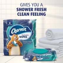 Charmin Flushable Wipes, 4 packs, 40 Wipes Per Pack, 160 Total Wipes image 10