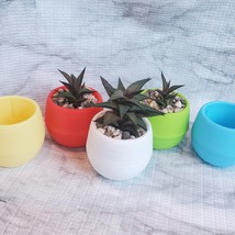 Colorful Succulent Planter, Self-Watering Pot for House Plants - $9.99