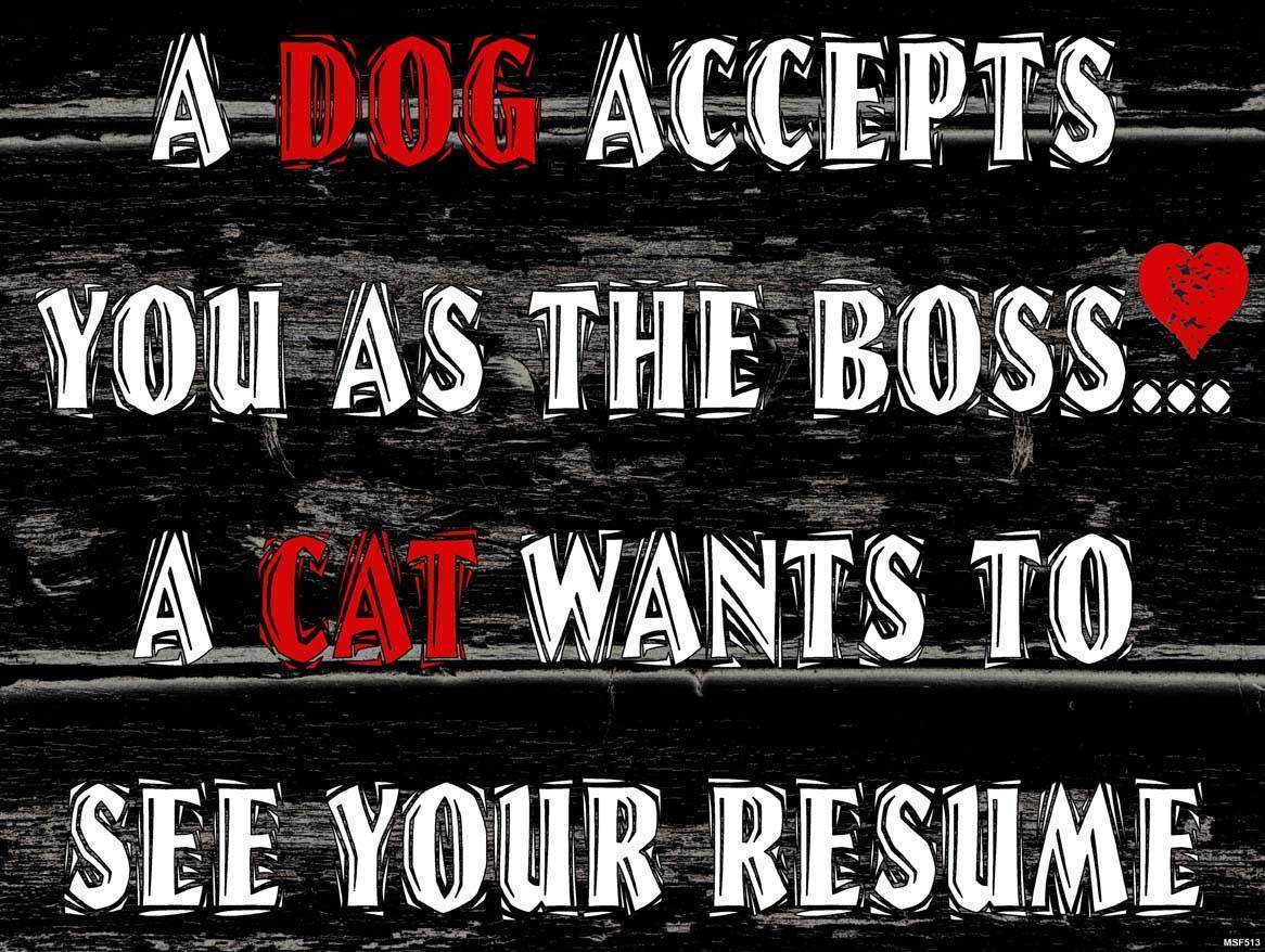 A Dog Accepts You A Cat Wants a Resume Dogs vs. Cats Pet Humor Metal Sign - $24.95