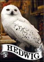 Harry Potter Hedwig The Owl Photo Image And Name Refrigerator Magnet NEW UNUSED - $4.99