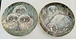 Baby Owls Danbury Mint Collector Plates Short-Eared & Great Grey Dick Twinney - $23.38