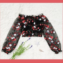 Black Sheer Mesh Long Sleeve 0ff Shoulder Embroidered Floral Spring Crop Top image 3