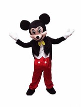 Winnie the Pooh Adult Mascot Costume Halloween BIRTHDAY Disney Boy Party Head