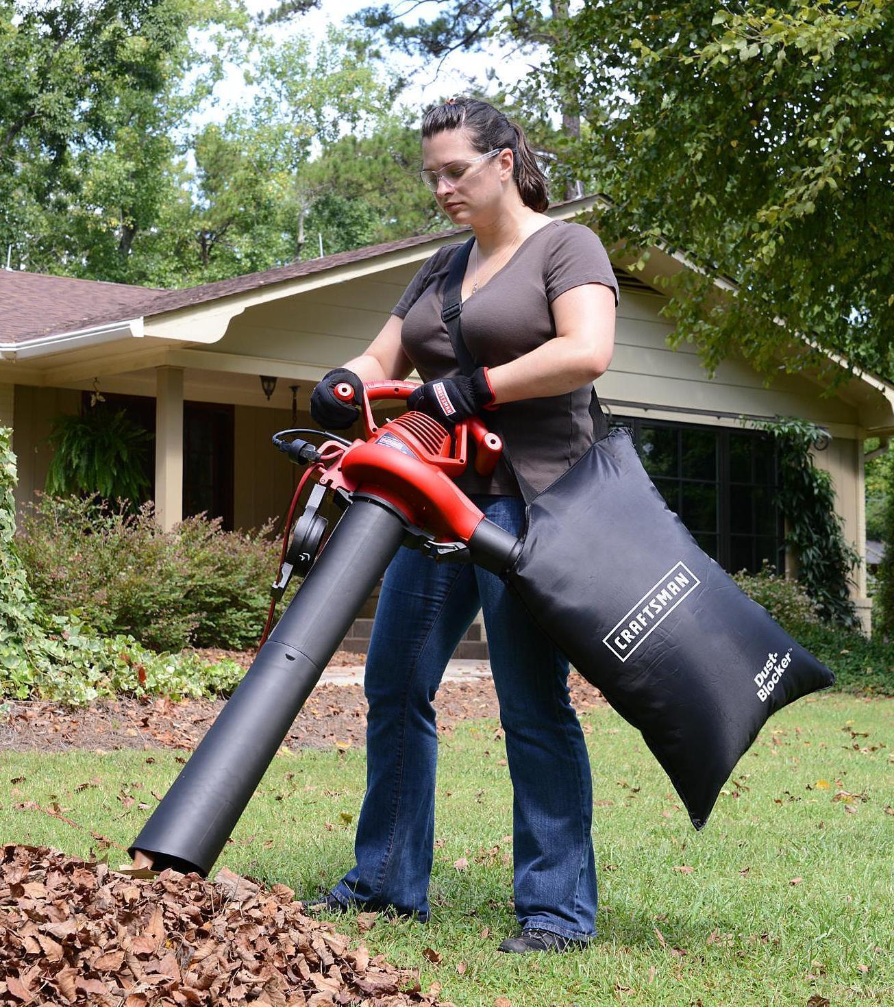 Leaf Blower Pussy