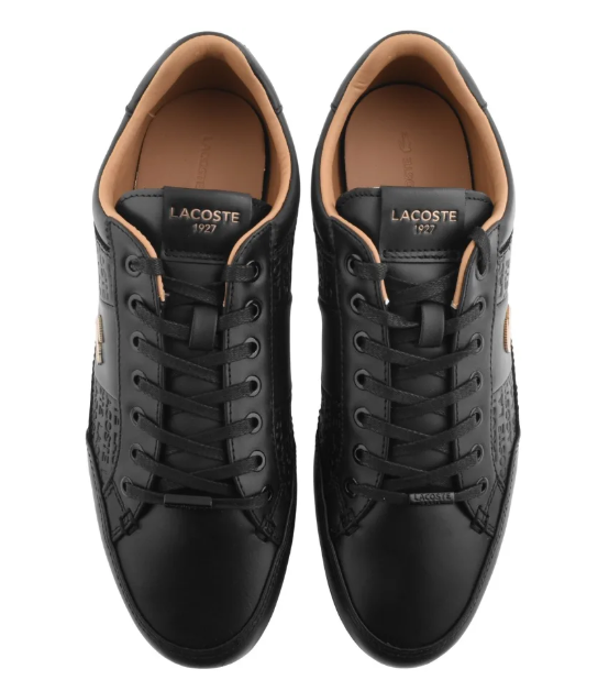 chaymon leather
