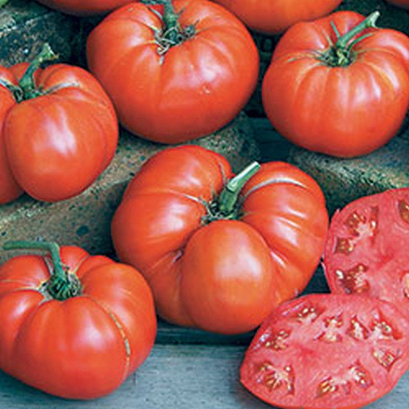 Ponderosa Red Tomato Extralarge, Low Acid Real Tomato Taste! 50