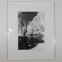 White Mat Photo Landscape Park Infrared Photography Limited Ed 2/2 Signe... - $37.30