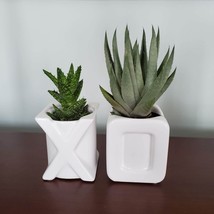 X O Planters, XO Succulent or Airplant Pots, Set of 2, White Ceramic image 2