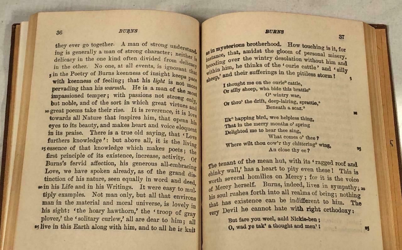 Night themes essay image